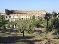 Колизей с Палатинского холма